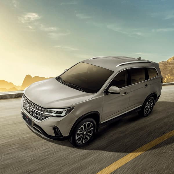 Dongfeng T5 L - miniatura 20