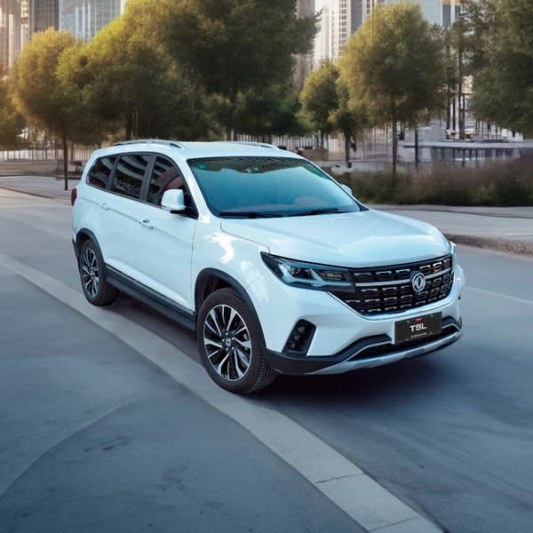 Dongfeng T5 L - miniatura 19