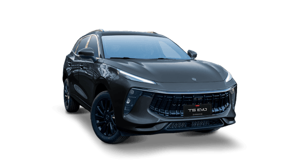 Dongfeng T5 Evo - miniatura 26