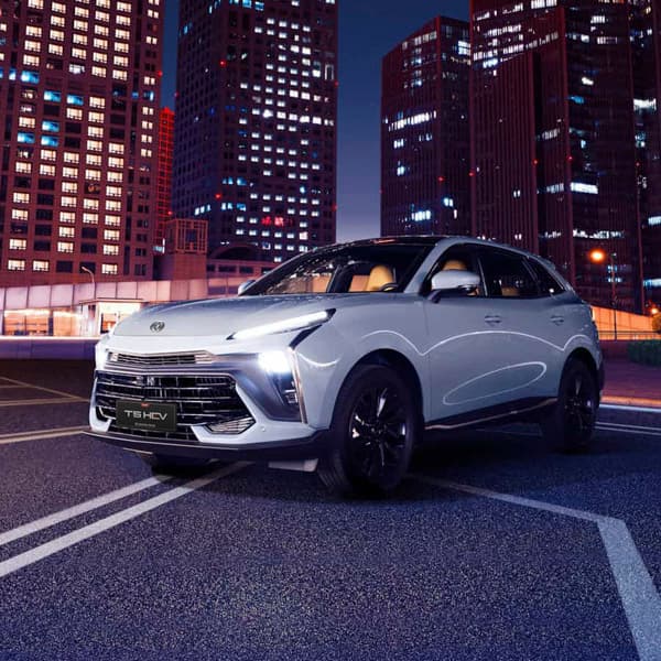 Dongfeng T5 Evo Hev - miniatura 17