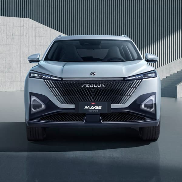 Dongfeng Mage - miniatura 19