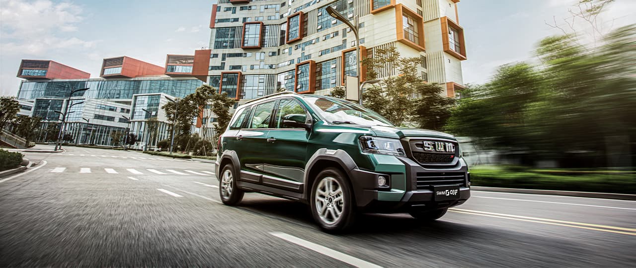 SWM G03F - miniatura 26