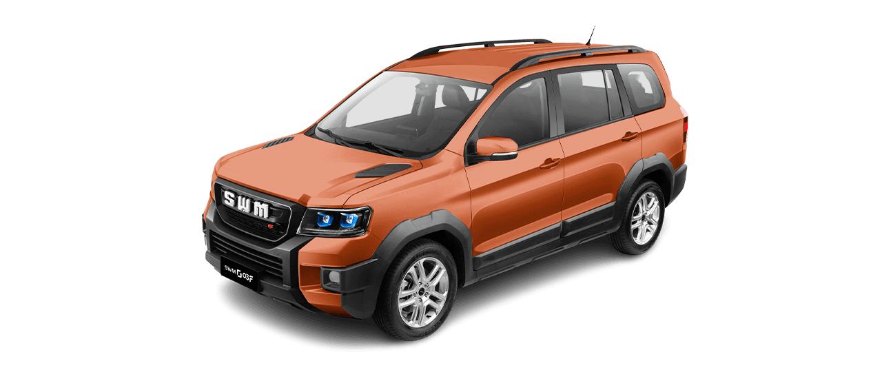 SWM G03F - miniatura 16