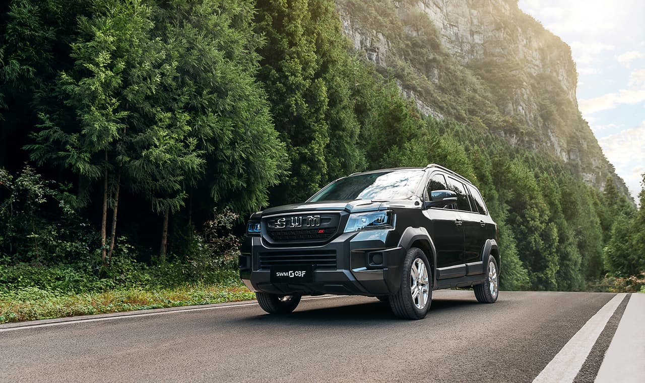 SWM G03F - miniatura 3