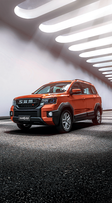 SWM G03F - miniatura 10