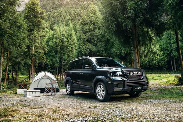 SWM G03F - miniatura 25