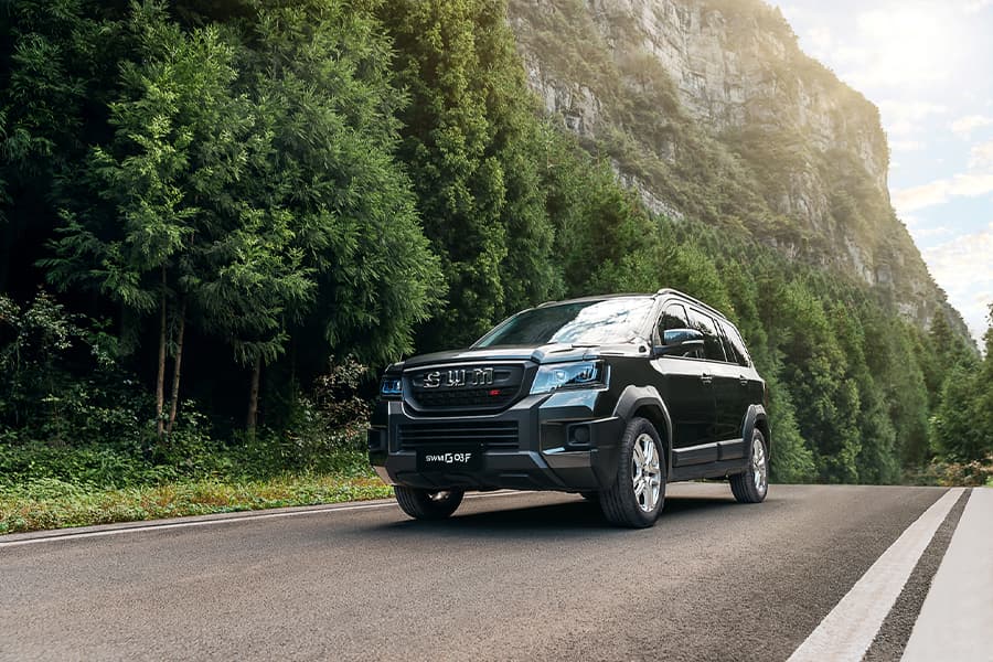 SWM G03F - miniatura 30