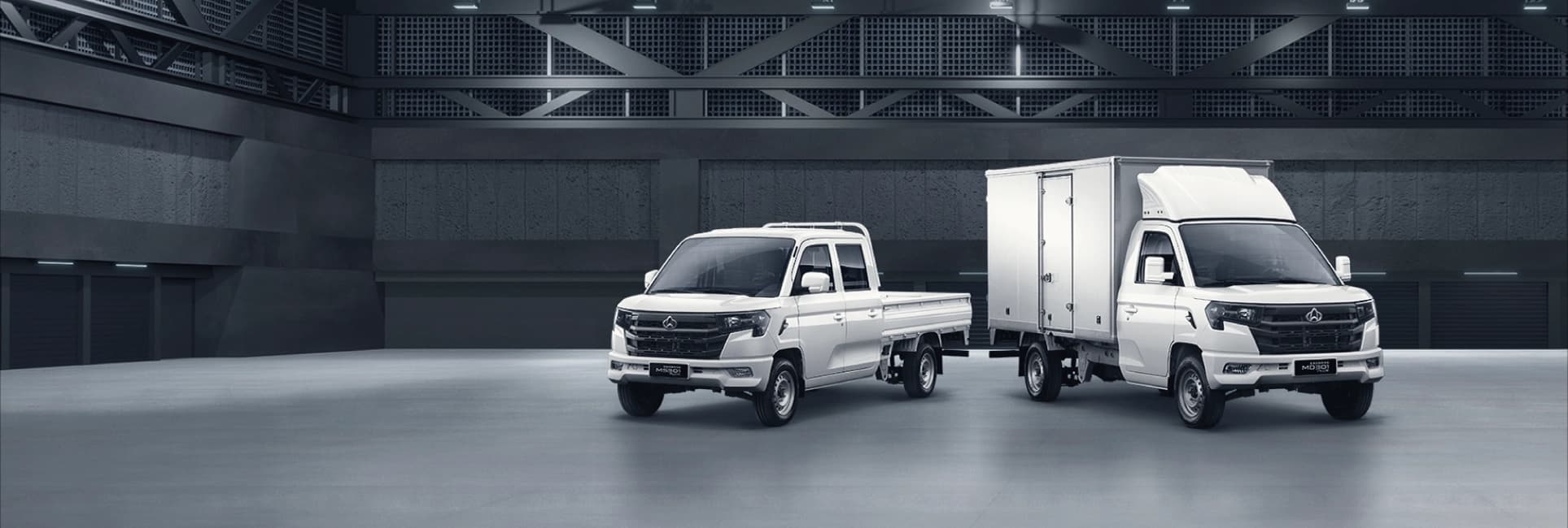 Changan Star Truck Plus - miniatura 21
