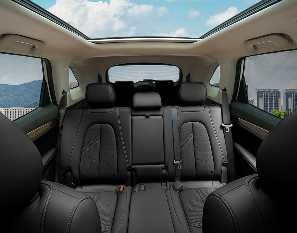 DFSK 600 PHEV - miniatura 13