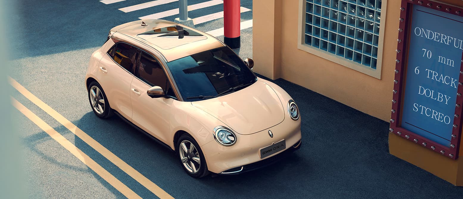 GWM Ora 03 - miniatura 9