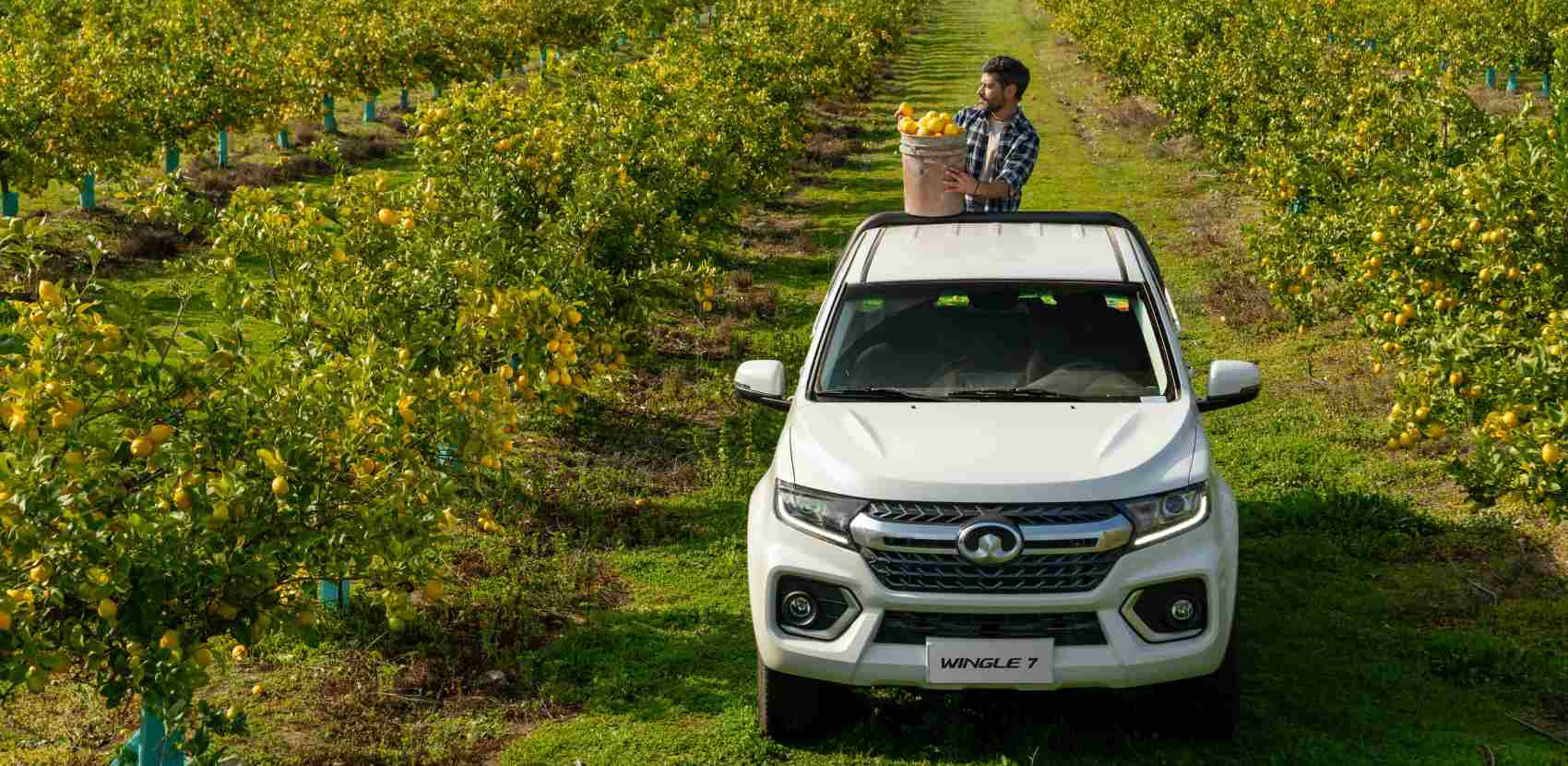 GWM Nueva Wingle 7 Gasolina Y Diésel - miniatura 6