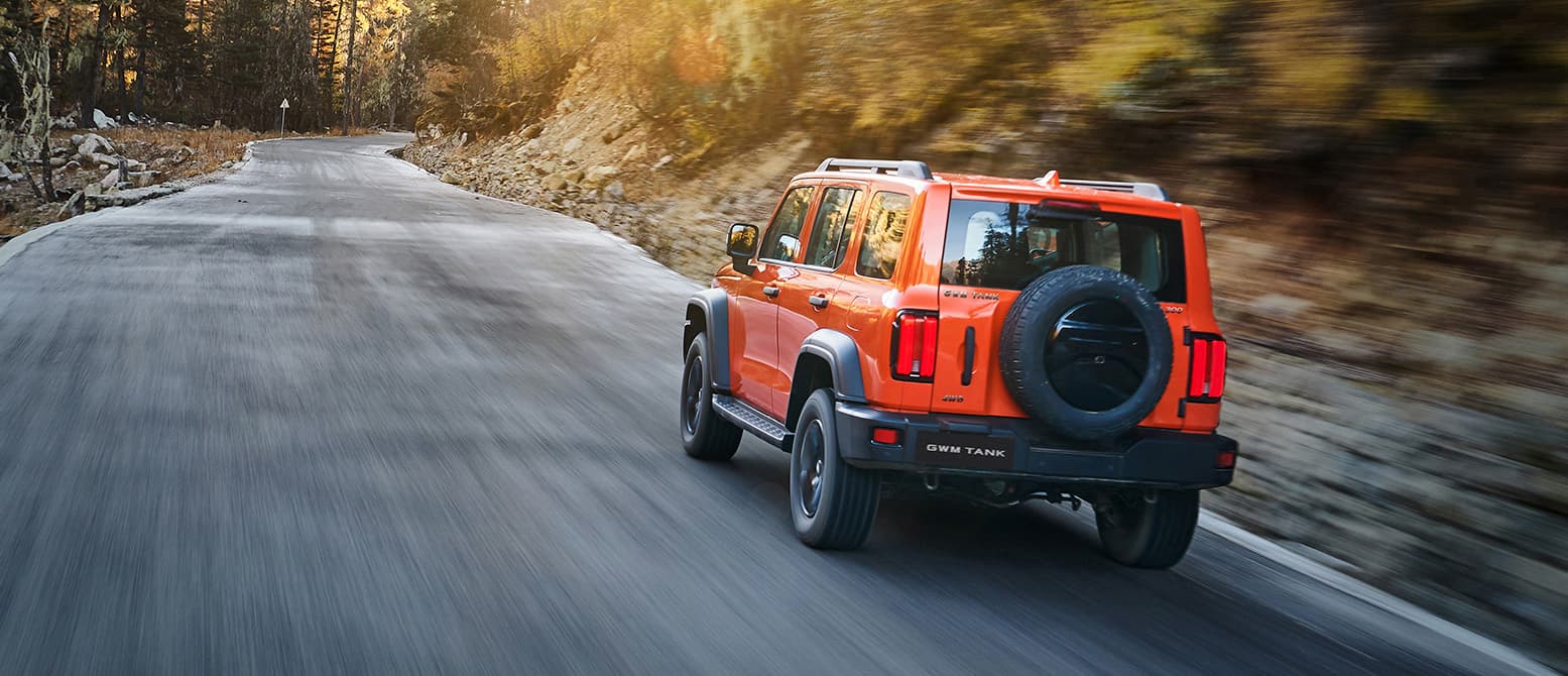 GWM Tank 300 - miniatura 8