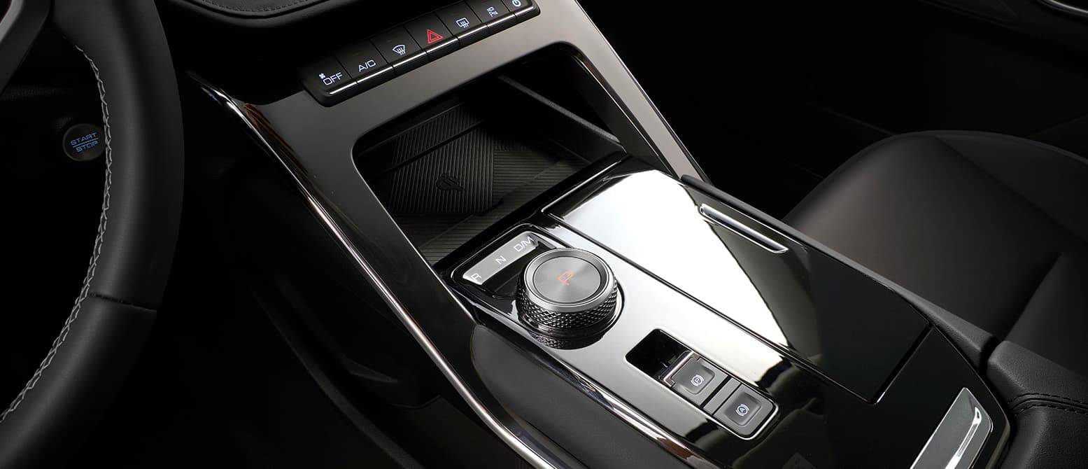 GWM H6 - miniatura 11