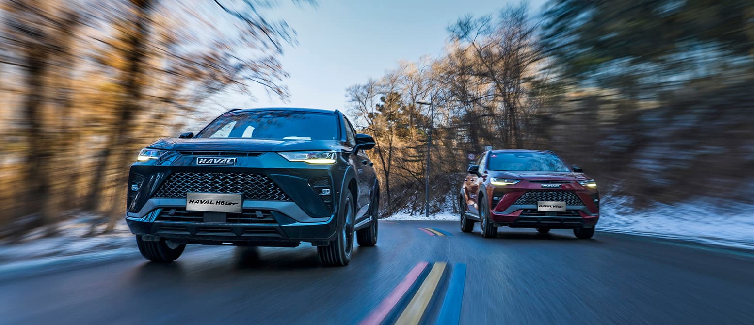 GWM H6 Gt - miniatura 9