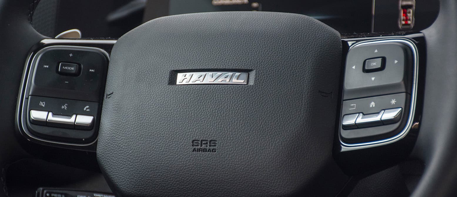 GWM Dargo - miniatura 12