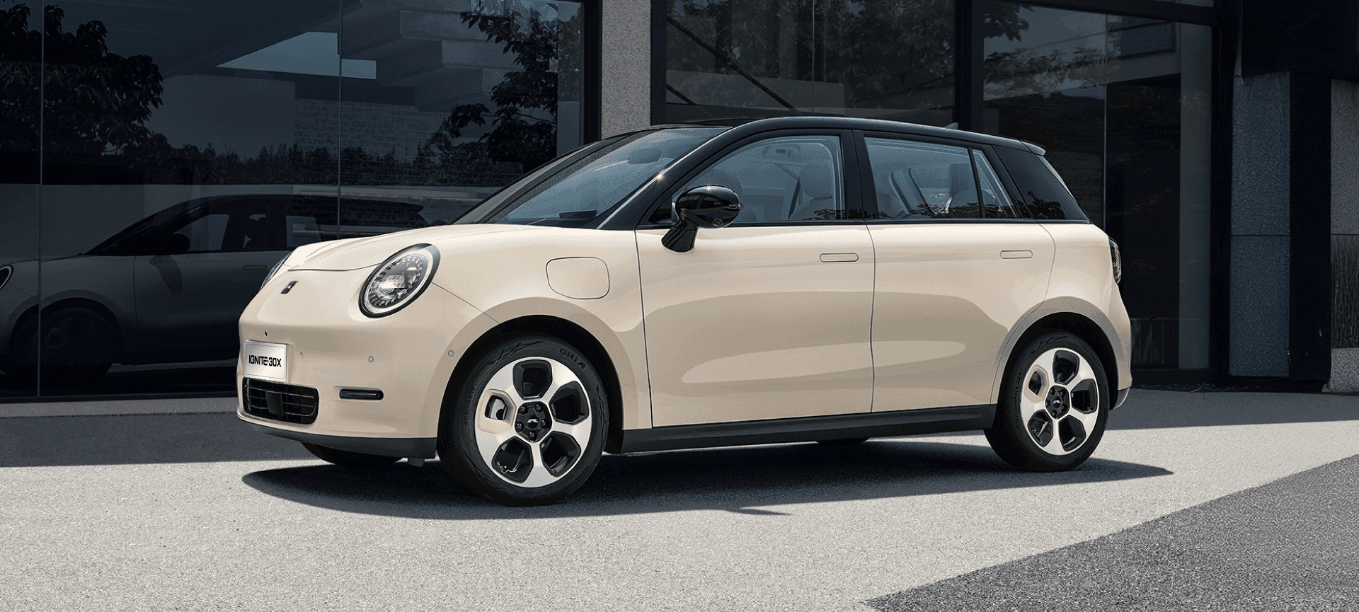 JAC IGNITE30X - miniatura 2