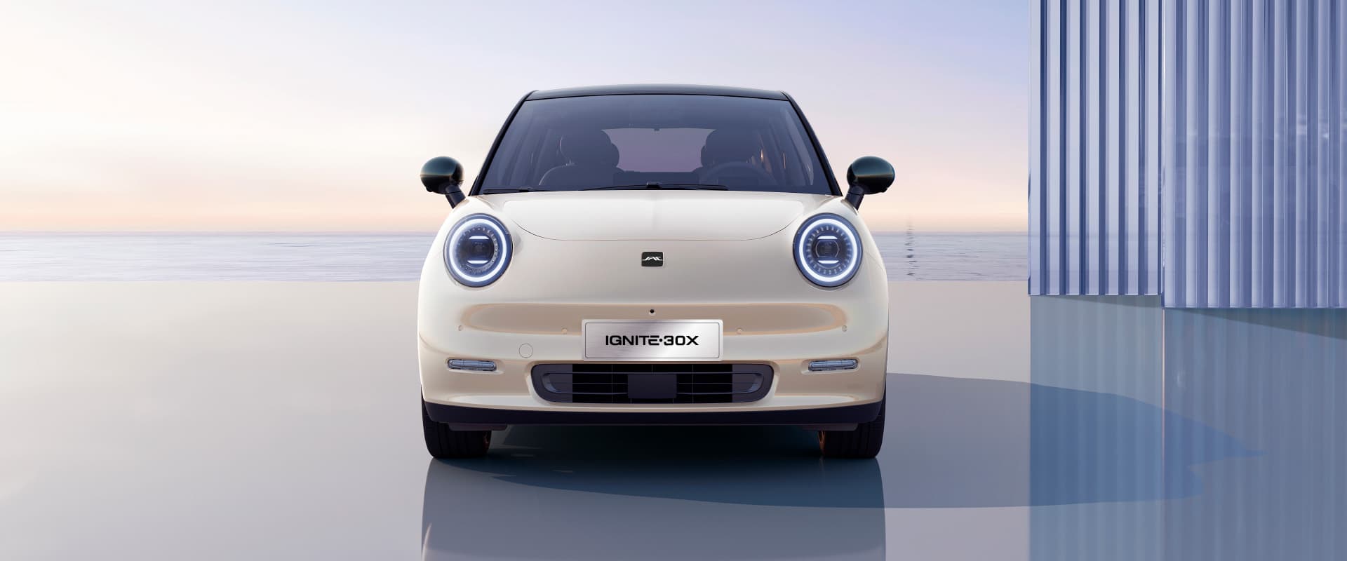 JAC IGNITE30X - miniatura 9