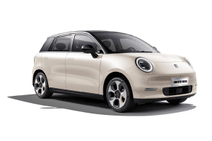 JAC JS2 - miniatura 17