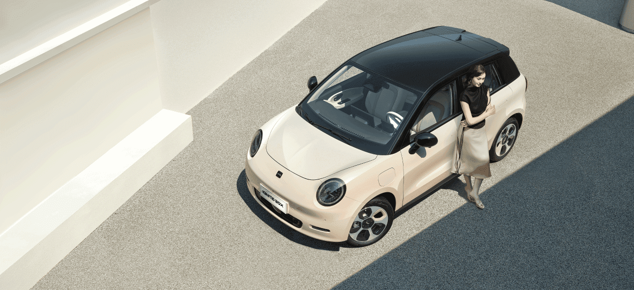 JAC IGNITE30X - miniatura 33