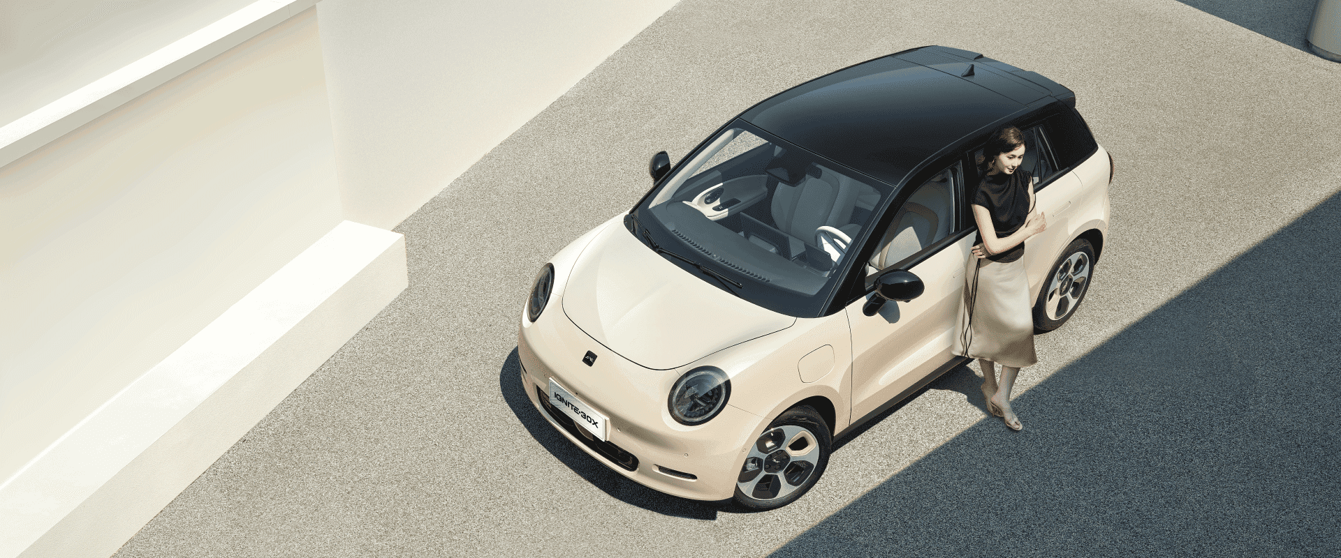 JAC IGNITE30X - miniatura 28