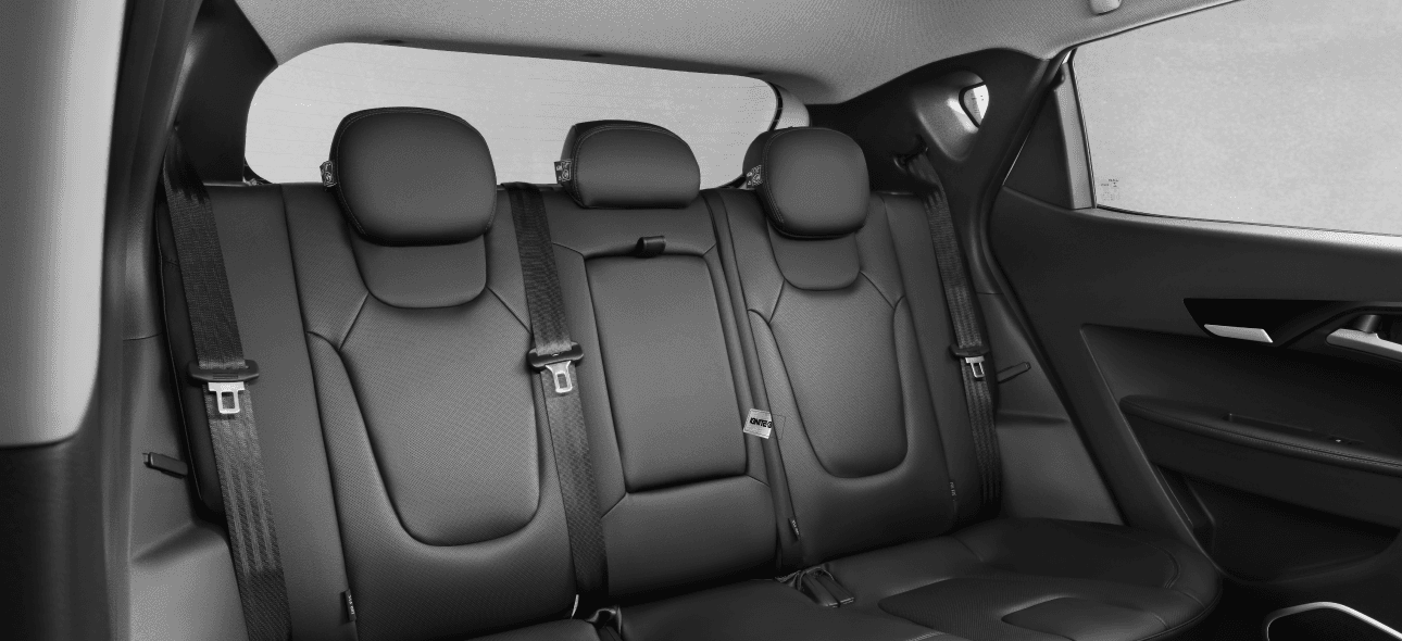 JAC JS2 PRO - miniatura 33