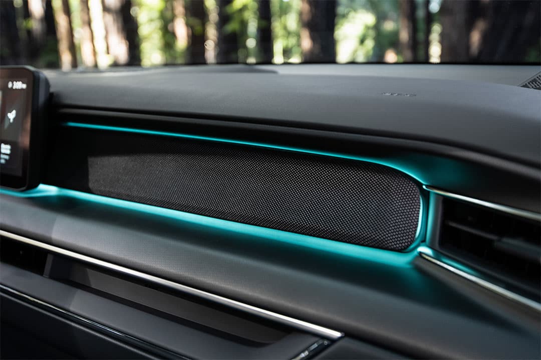 Kia EV9 - miniatura 23