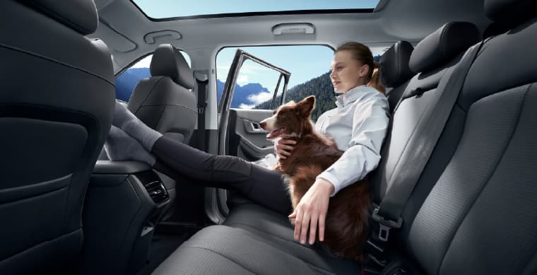 Jaecoo 5 - miniatura 16